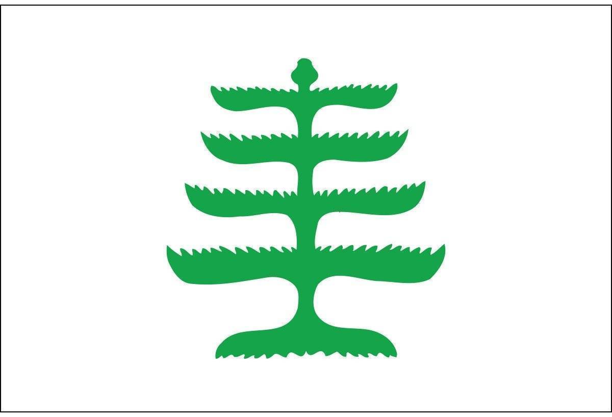 liberty tree flag historic usa flag