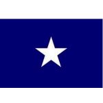 buy bonnie blue flag-