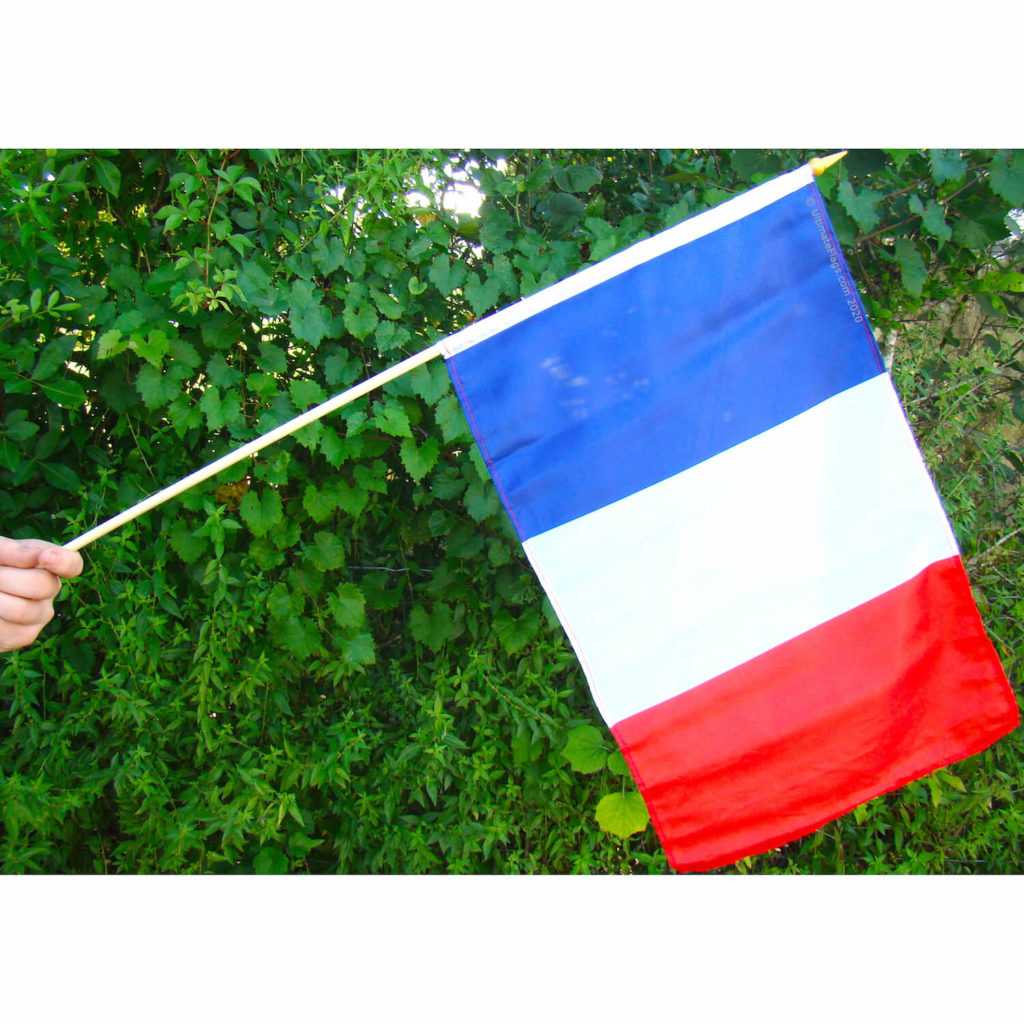 France Flag