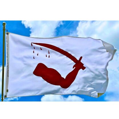 goliad battle flags dimmitt's goliad texas flag severed arm sewn outdoor double nylon embroidered 3 x 5 ft.
