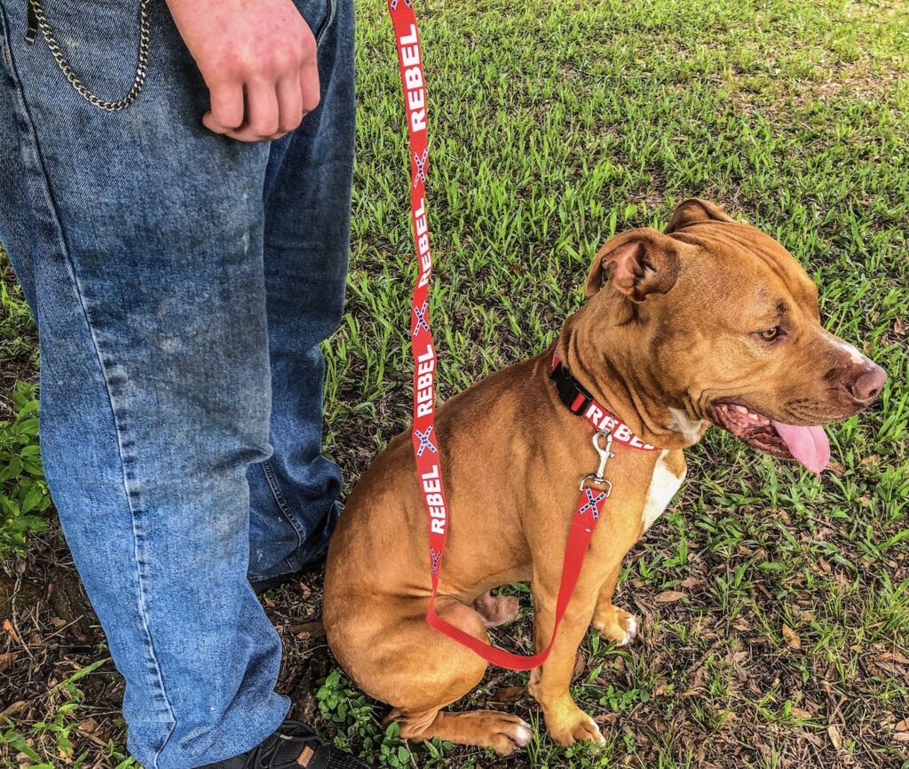 Rebel Dog Collar & Leash Set Show Your Southern Pride