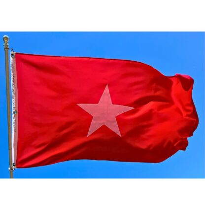jane long flag mother of texas flags lonestar 3 x 5 ft. sewn outdoor double nylon embroidered