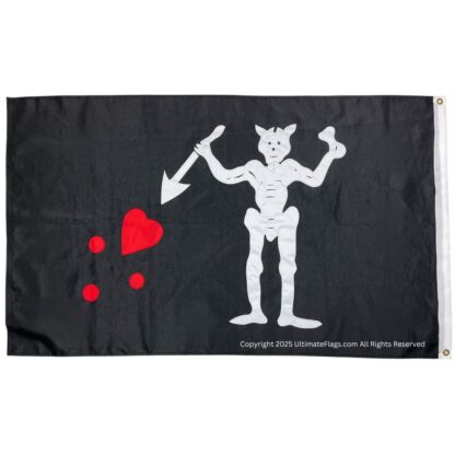 blackbeard's flag pirate blackbeard, edward teach 3x5ft. outdoor double nylon embroidered