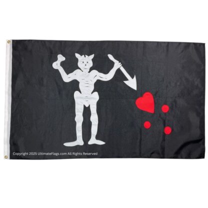blackbeard's flag pirate blackbeard, edward teach 3x5ft. outdoor double nylon embroidered