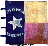 1sttexasflag