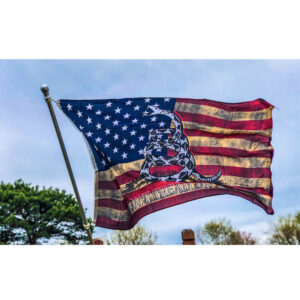 usa flag with dont tread on me snake