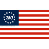 huge custom flag made in usa with your design create a 1 of a kind flag! 3 x 5 and up sizes! (copy)