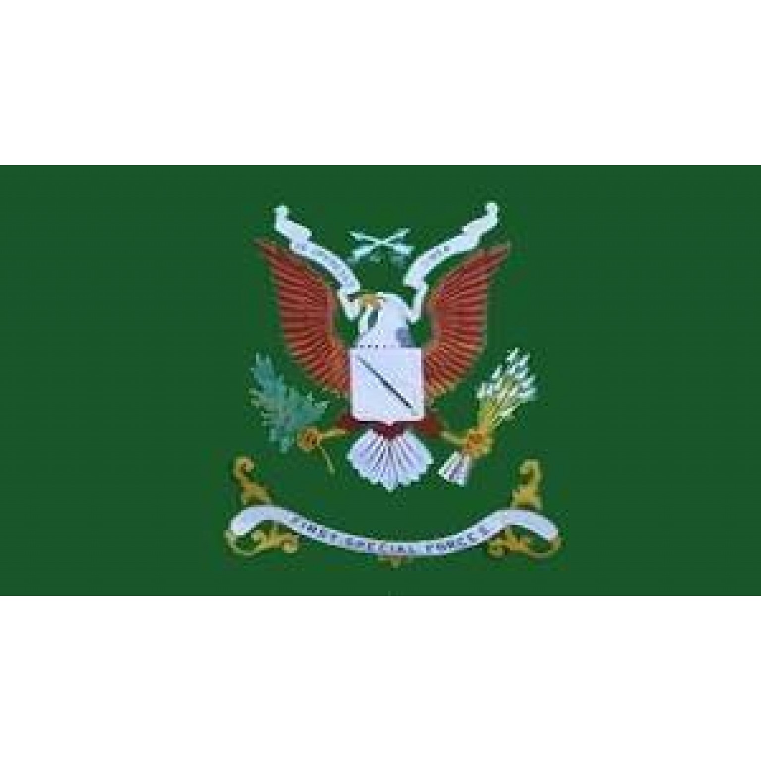 US Army 1st Special Forces Flag 3 X 5 ft. Standard