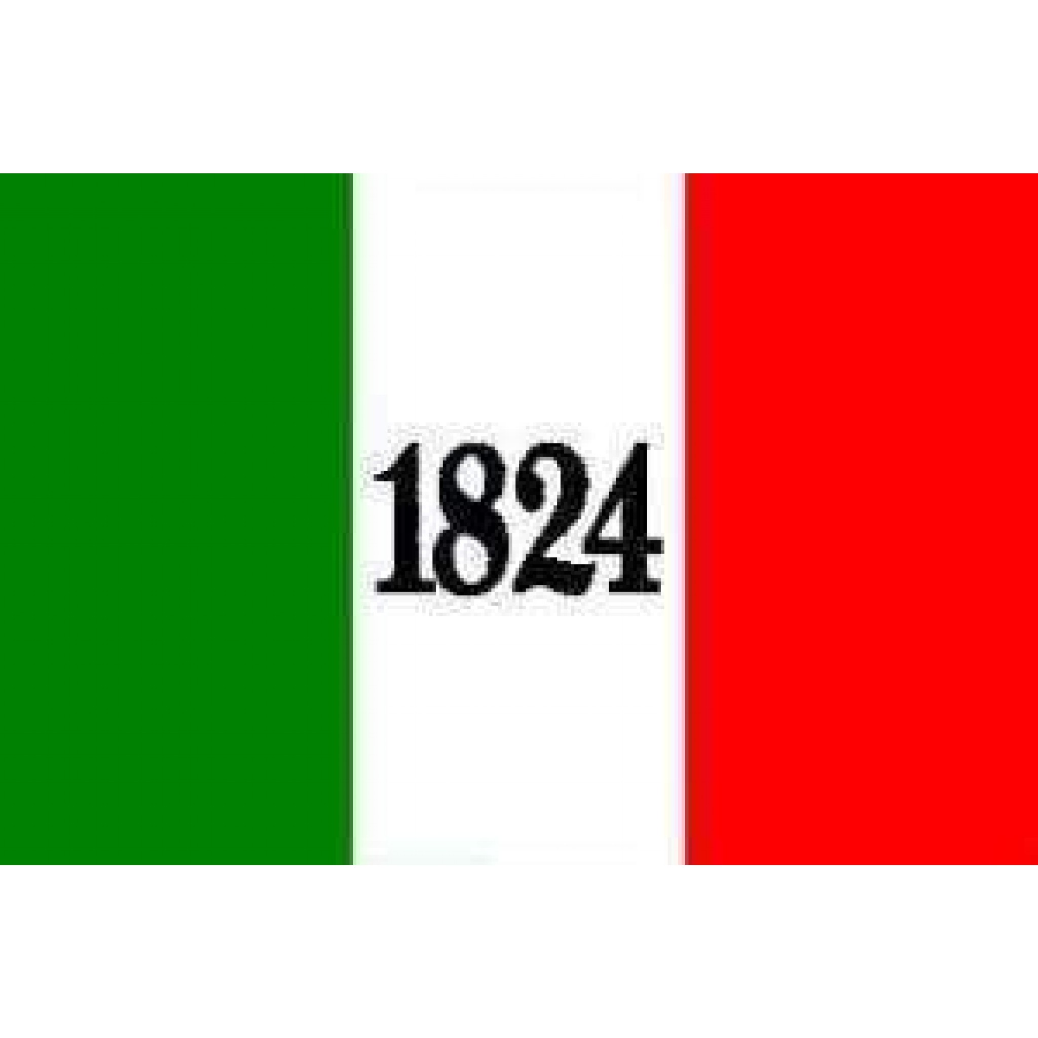 1824 Remember The Alamo Flag