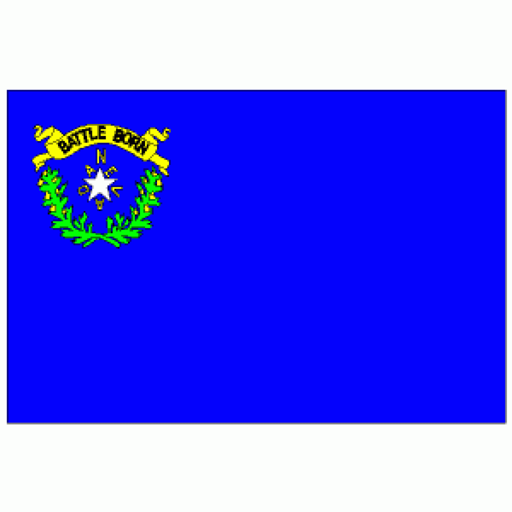 State of Nevada Flag 4 X 6 ft. Large