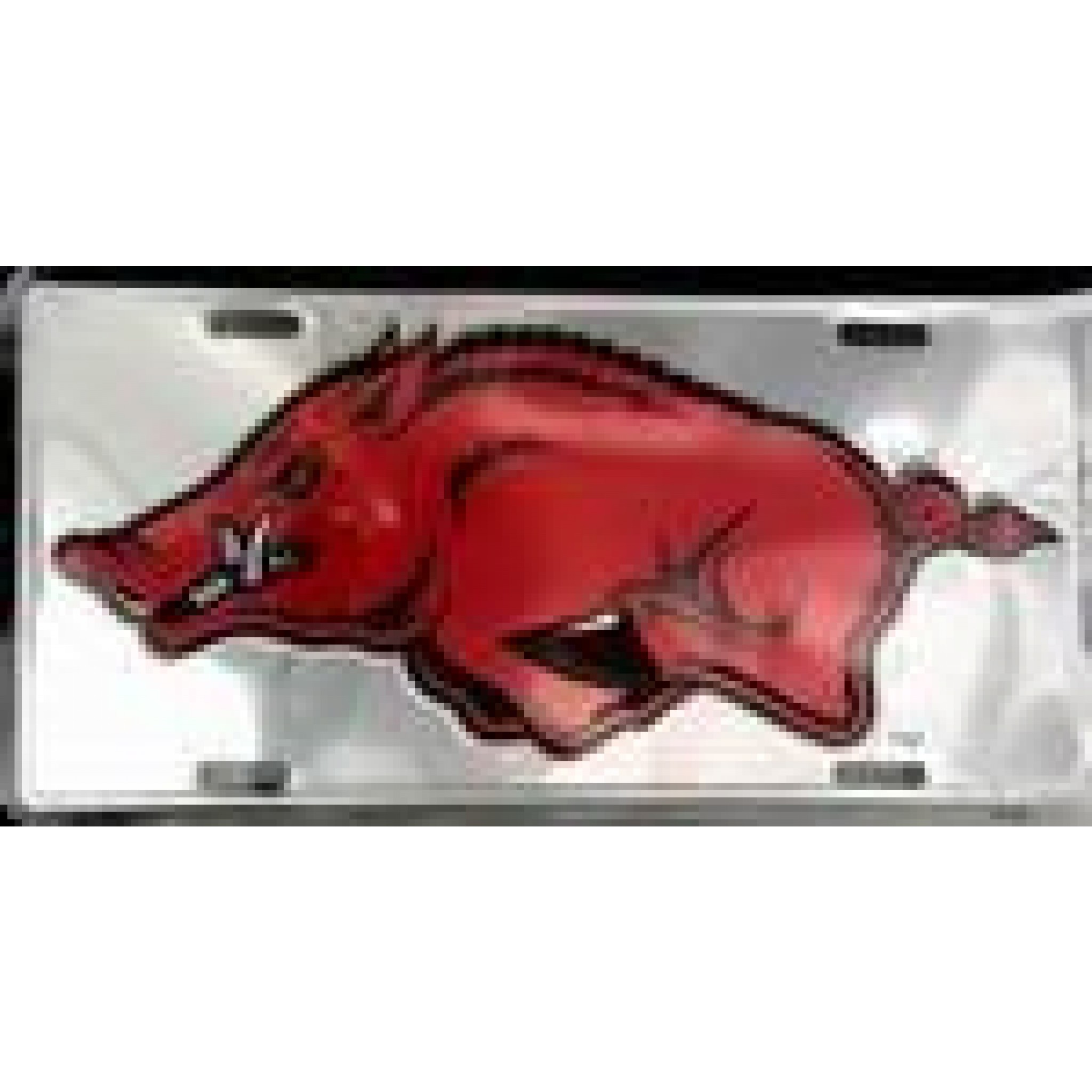 Arkansas Razorbacks Chrome License Plate