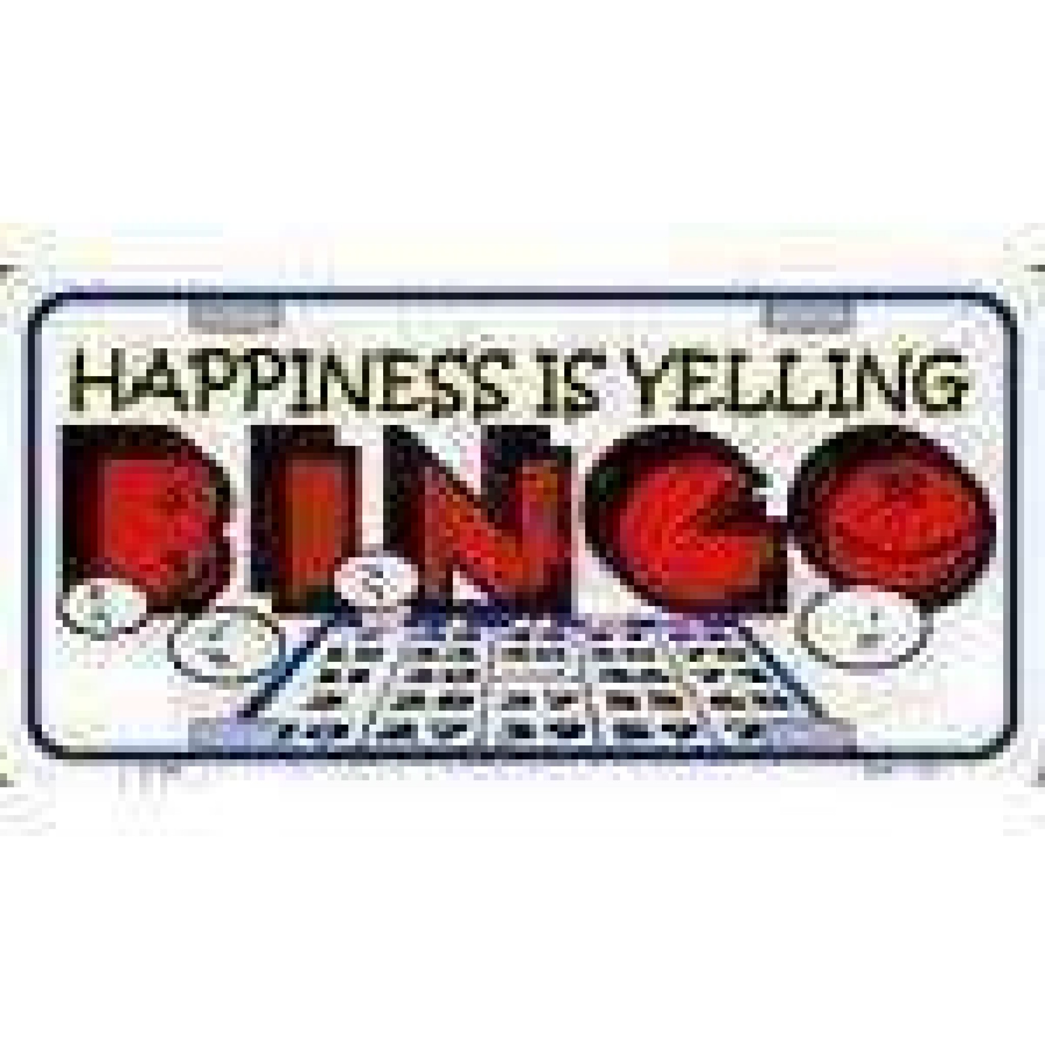 BINGO License Plate
