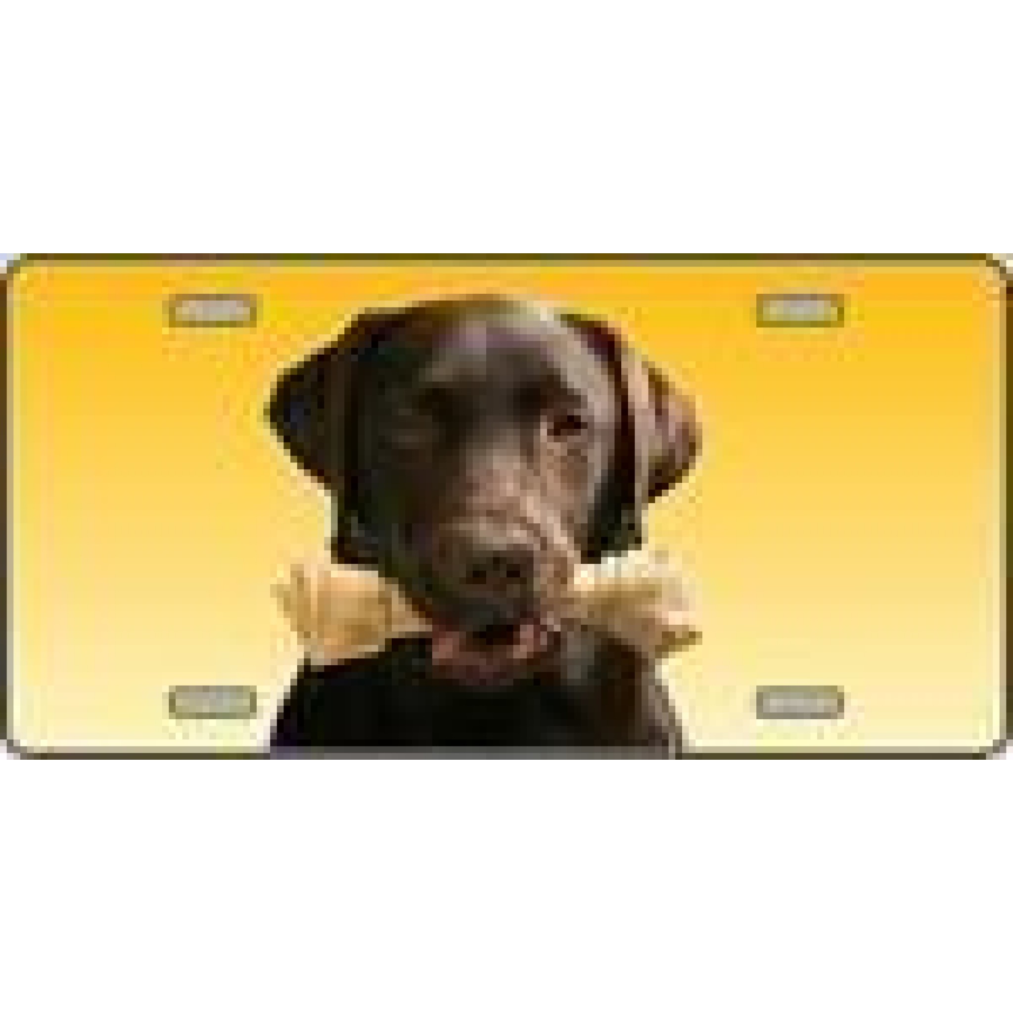 Chocolate Labrador Retriever Dog License Plate