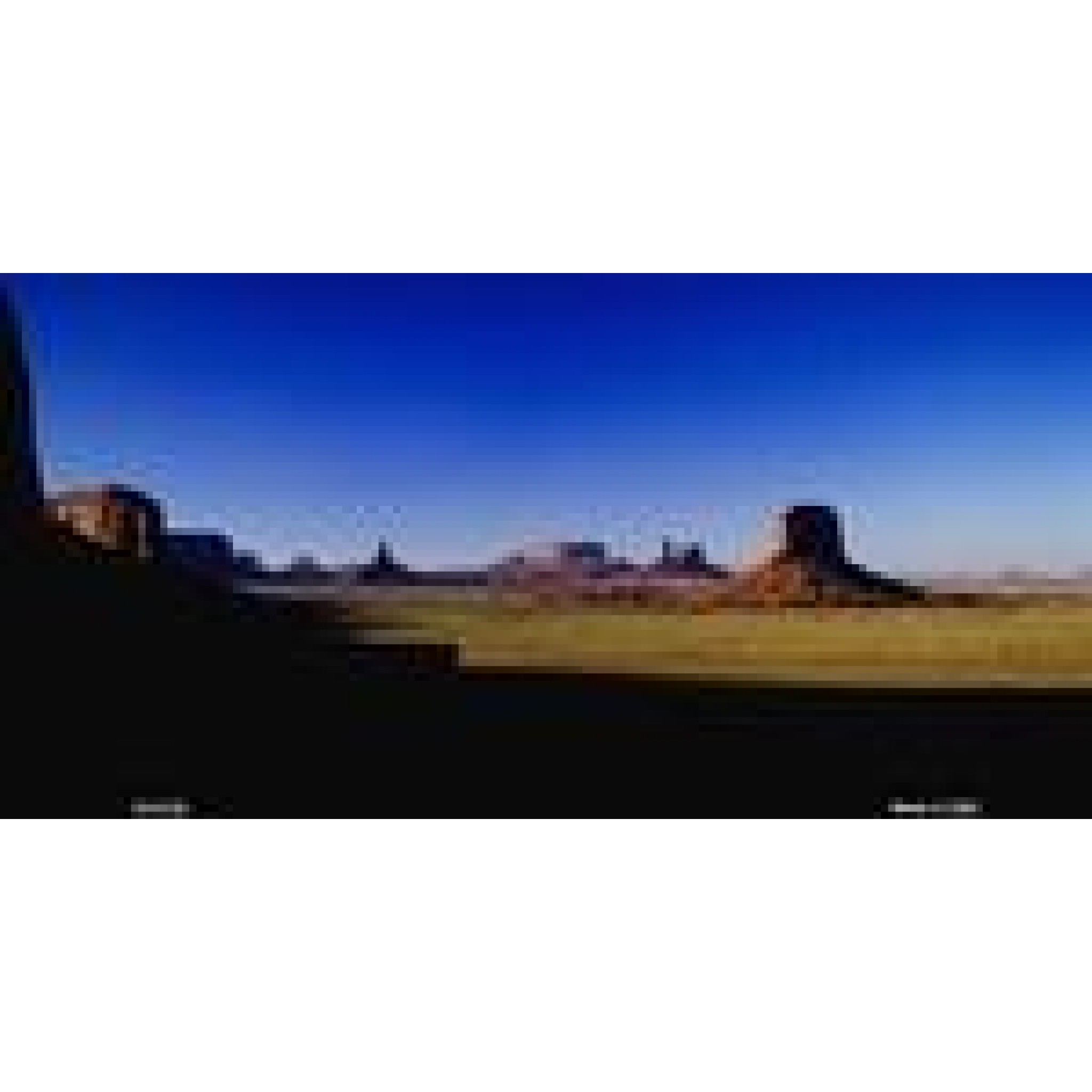 Desert License Plate