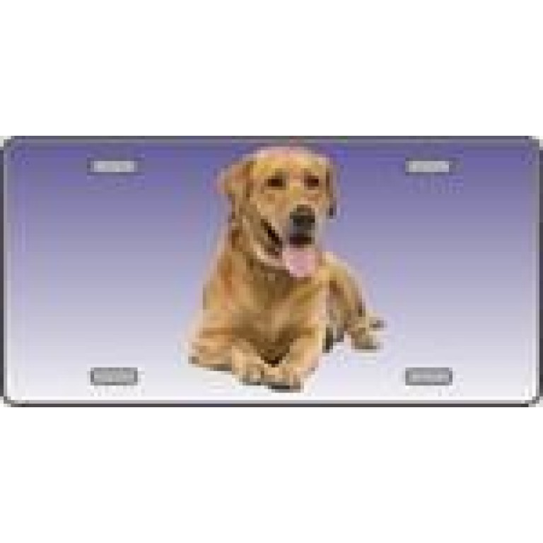 Yellow Labrador Retriever Dog License Plate