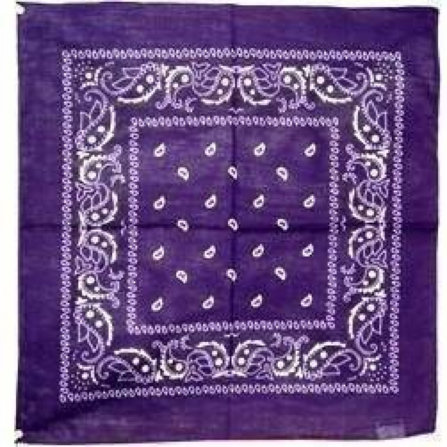 Purple Paisley Bandana