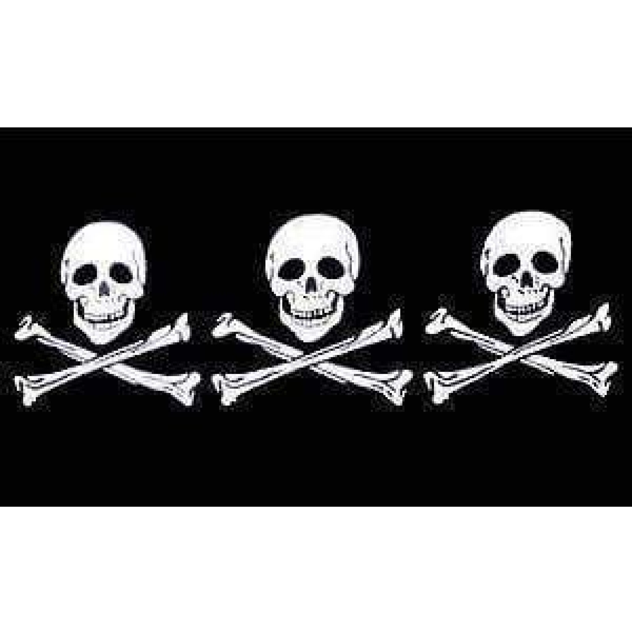 Pirate 3 Skulls Flag