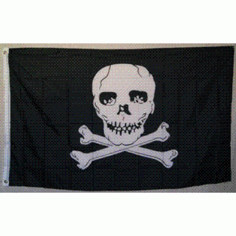 Pirate Crossed Bones Under The Skull Flag 3 X 5 ft. Standard