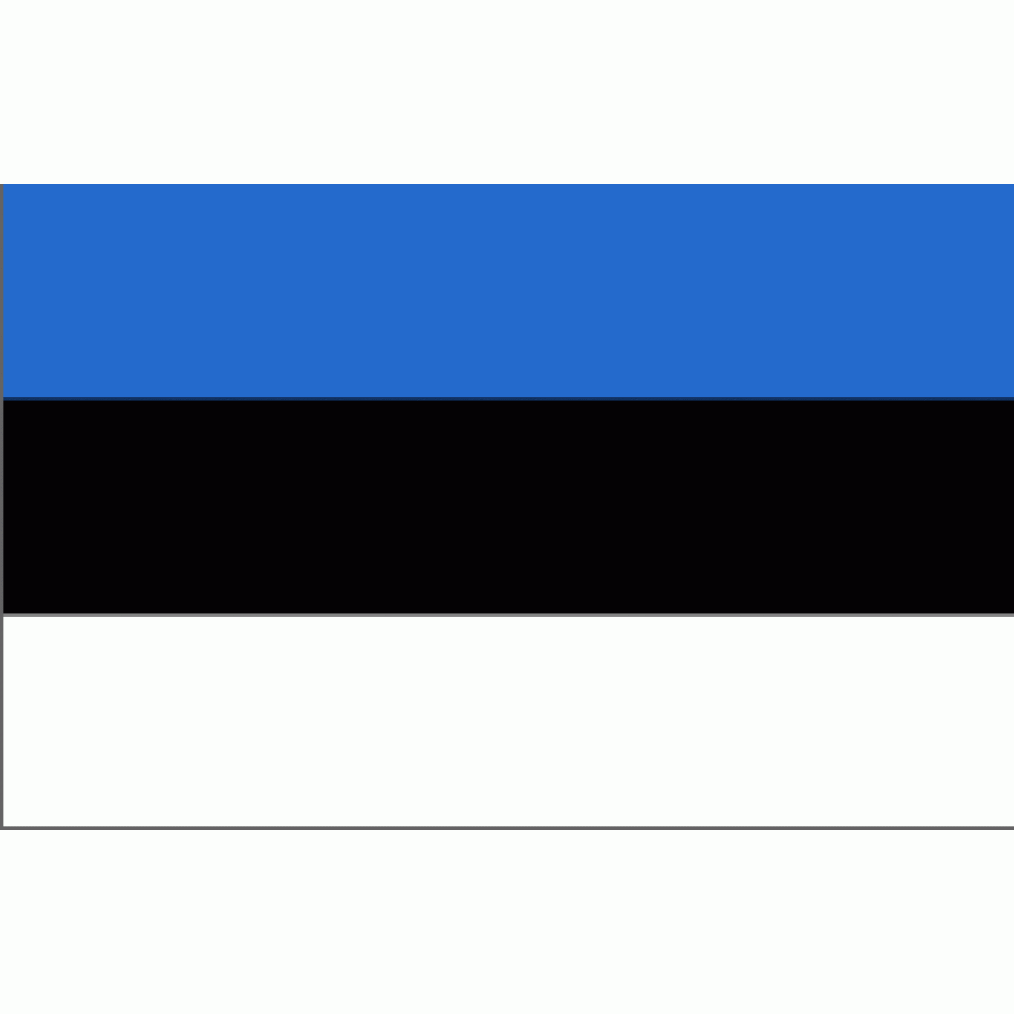 Estonia Flag 3 X 5 ft. Standard